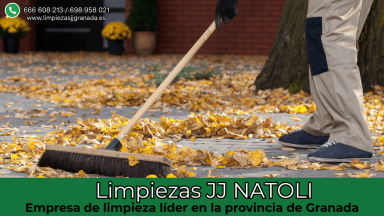 Servicio-limpieza-patios-granada-limpiejas-jj-natoli