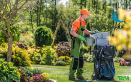 Limpieza de Jardines y Patios en Granada - Limpiezas JJ Natoli
